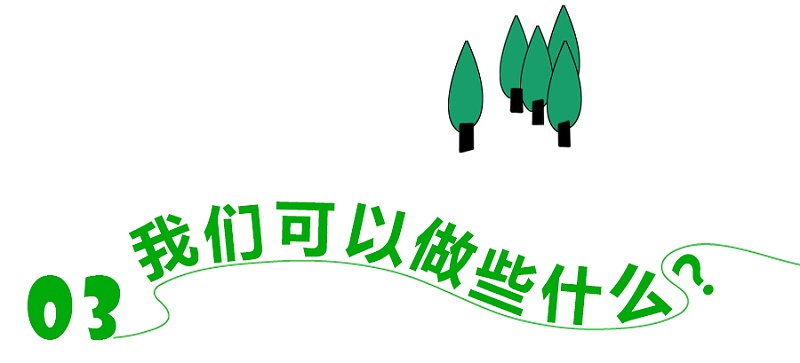 關(guān)于碳中和3