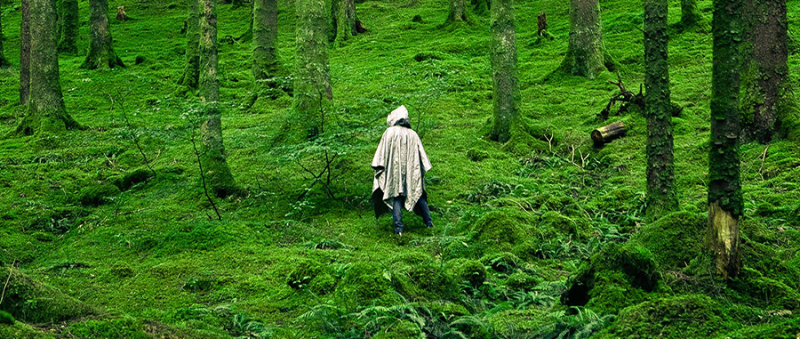 可持續設計標題09