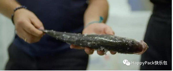 魚皮的環保用途