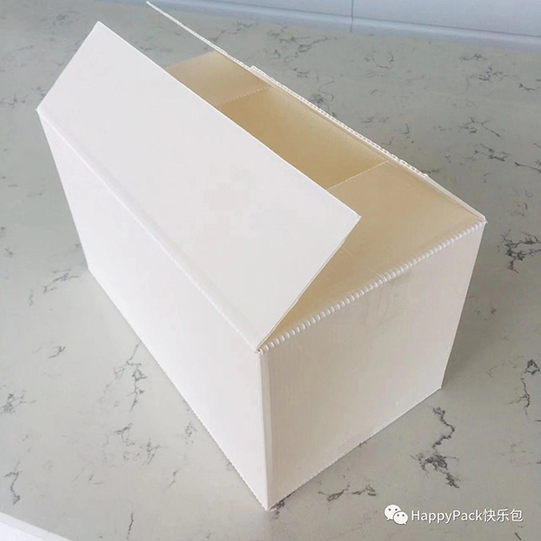 PP瓦楞箱