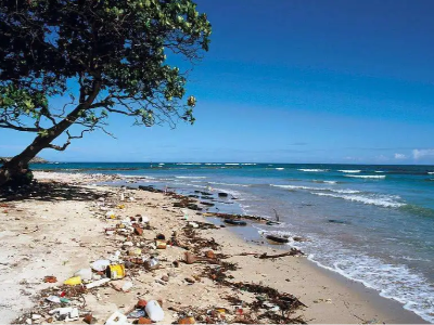 擺脫塑縛，擁抱自然