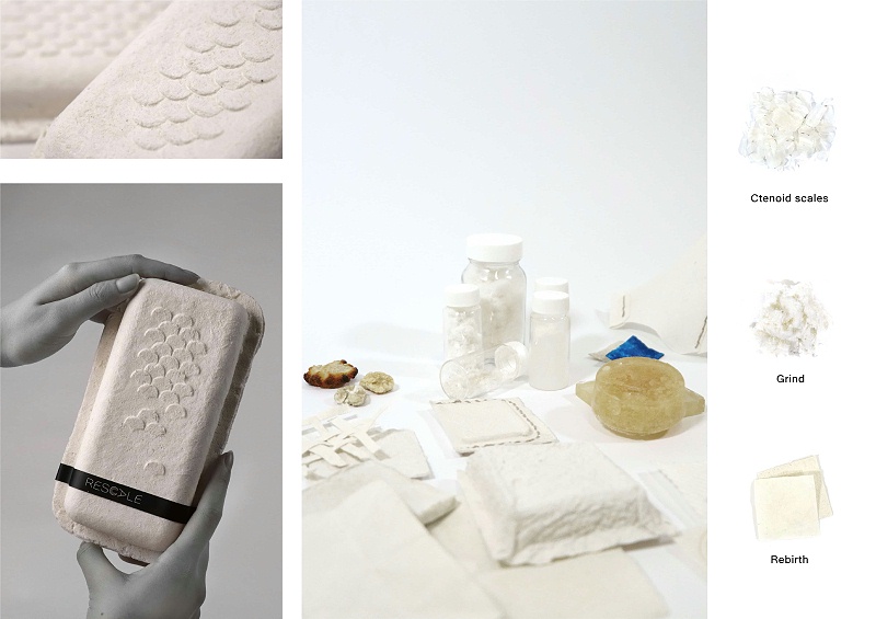 YPD-2022-01-1124-4817-2