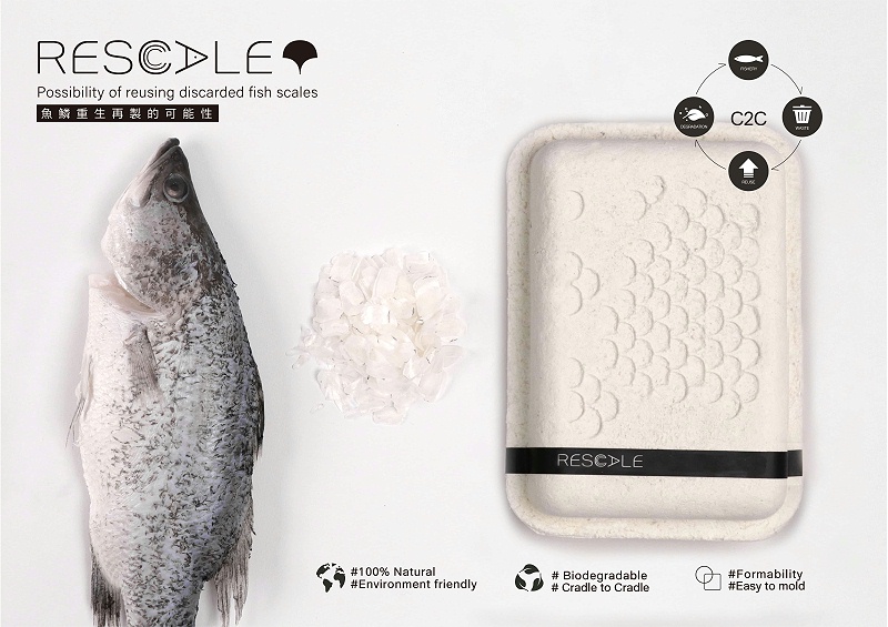 YPD-2022-01-1124-4817-3